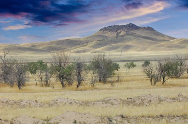 Çayır, düz, çöl. Güneş çöl doğasına veda ederken çiçeklerin büyüleyici dansına tanık olun.