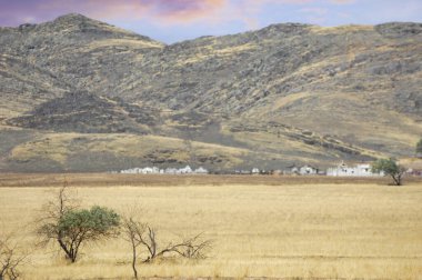 Çayır, düz, çöl. Doğanın en sert kucaklamasında ilham verici dayanıklılık Hayatta kalan yalnızlık