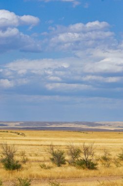 Çayır, düz, çöl. Sonsuz kum tepecikleri göz alabildiğine uzanır ve yaşam belirtisi yoktur. LostIn Desolation