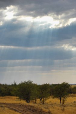 Çayır, düz, çöl. Hayal gücünün vahşileştiği ve olasılıkların sınır tanımadığı, tanımlanmamış olanın büyüleyici cazibesine dikkat edin. Yaratıcılığını Serbest Bırak