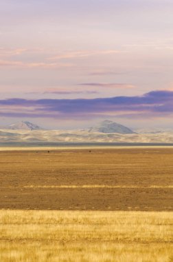 Steppe, Prairie, sade, pampa. Güneşin çorak çöle veda ettiği büyüleyici bir an. Teselli bekleyen yalnız bir ruhu yansıtan sıcak bir ışık. Günbatımı Serenadı