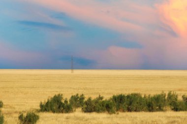 Steppe, Prairie, gün batımında, gün batımı acı tatlı bir resim çizer, sanki doğanın kendisi solmuş sıcaklığın yasını tutar ve çölün sonsuz kumlarına sırlar fısıldar..