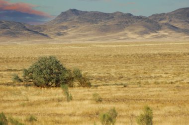 Steppe, Prairie, pitoresk çöl topraklarında seyahat et ve arka planda yükselen dağların hayranlık uyandıran güzelliğine tanık ol. Doğanın tüm ihtişamıyla bir başyapıtı! Çöl Seferi