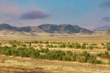 Steppe, Prairie, sade, pampa. Güzel gün batımı gökyüzü. Huzurlu bir çöl vahası, huzur ve merak uyandıran yüksek dağların arasına kurulmuş. Çöl Kaçağı Dağ İnzivası