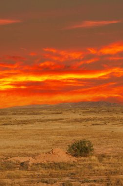 Steppe, Prairie, sade, pampa. Işığın ve gölgenin görkemli dansına tanık olun. Tıpkı sakin bir tarlaya inen ve doğanın gökyüzünde resmettiği güzelliği yakalayan resimli bir günbatımı gibi..