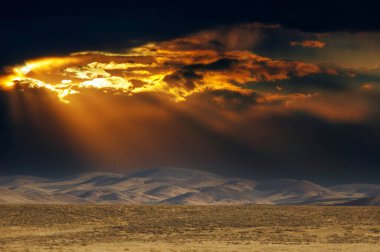 Steppe, Prairie, sade, pampa. Güneş nihayet güneş gözlüklerini takıp paydos etmeye karar verdiğinde! Altın Parlak Günbatımı Sihri