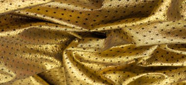 Brocade altın rengidir. Küçük bir polka şeklinde. Brocade genellikle altın ve gümüş ipliklerle renklendirilmiş ipekten yapılan süslü bir mekik kumaşıdır. Rönesans 'ta önemli bir kumaş.