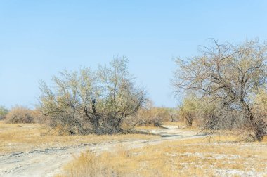 Manzaralı toprak bir yolda düşüşün güzelliğini hisset. Bozkırın nefes kesici manzarasına dalın. İnsanoğlu ve doğa arasındaki ahenkli ilişkiye tanık olun..