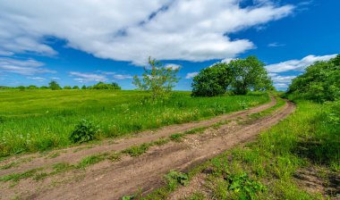 Bahar, manzara, toprak yol ya da yeryüzünün içinden geçtiği yol.