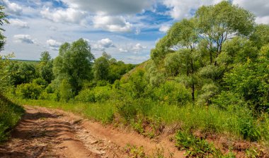 Yaz, tepe, tepeler, huş ağaçları dağların yamaçlarında büyürler. Yamaç boyunca dönen toprak bir yol, sıcak yaz günleri.
