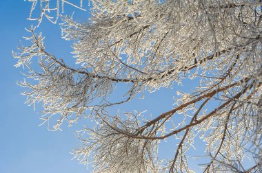 Dağlar. Kış geliyor ve yağan karla birlikte, bir birliktelik hissi çöküyor, bu kış harikalar diyarı romantik bir kaçış için mükemmel bir yer ve zaman..