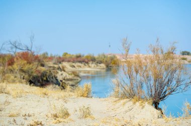 Sonbahar, Steppe. Çayırlar. Nehir. Kurak düzlüklerin ortasında, büyüleyici bir nehir belirir, kaprisli bir peri masalı gibi hayata gelir. Bu muhteşem vaha sakin bozkırlara hayat veriyor.,