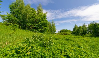 Steppe, çayır, sade, çöl. Dolunayın ışıldayan büyüsünün tadını çıkarın ve aydınlığının karanlığın içinde size rehberlik etmesine izin verin. Ay Kutsaması