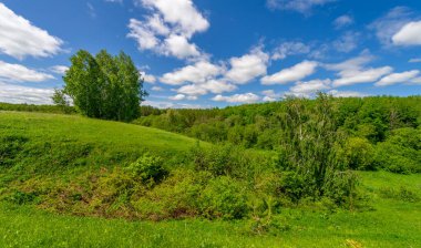 Steppe, çayır, sade, çöl. Dolunayın ışıldayan büyüsünün tadını çıkarın ve aydınlığının karanlığın içinde size rehberlik etmesine izin verin. Ay Kutsaması