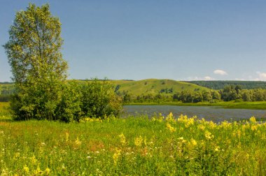 Yaz manzarası, nehir taşkınları, pitoresk kıyılar, kır çiçekli parlak yeşil çimenler, beyaz bulutlu mavi gökyüzü, ılık yaz günleri.,