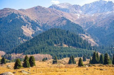 Kendini Tien Shan Dağlarının dingin güzelliğine daldır. Yürürken sonbahar cazibesini hisset. Yeşillik ve renkli çiçeklerle çevrili huzurlu bir atmosferin tadını çıkar..