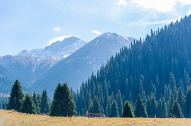 Kendini Tien Shan dağlarının dinginliğine bırak. Sonbahar yeşilliğinin ve canlı renklerin cazibesini hissedin. Bereketli yeşil çam ağaçlarının arasında sakin bir gezinti yap. Huzurun tadını çıkar.