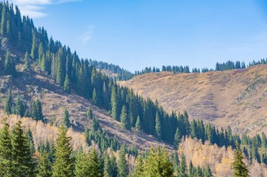 Dağlar sonbahara yerleştikçe orman, parlak kırmızı, altın sarısı ve kırsal turuncu tonlarıyla bezenmiş nefes kesici bir tuvale dönüşür..