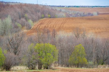 Doğanın gençleşmesini, Bakıcı Dünya hasat mevsiminde tecrübe edin. Meyve vermeye hazırlanan yaşam döngüsüne tanık olun. Toprağın bereketini ve mahsulünü kutlayın..
