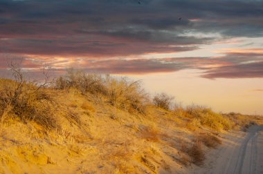 Sonbahar. Steppe. Gün batımı. Kumullar: Büyüleyici çöl ufkuna bakarken endişelerinizin erimesine izin verin. Bu altın vahada gezinmenin büyüsünü tecrübe et..