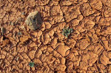 Doku. Kum ve güneşin hüküm sürdüğü bir dünyaya dalmak ve çölün ateşli başyapıtını sunmak! Bu çöl kumulunun nefes kesici manzarasına tanık olun.,