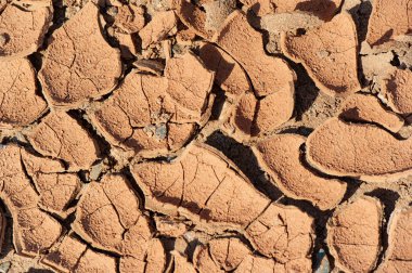 Zamanın sınavına dayanmış bir bölgenin kurak güzelliğini ortaya çıkaran çatlaklar, eşsiz ve nefes kesici bir mozaik oluşturarak karmaşık yollar oluşturuyor. Sabit Güzellik