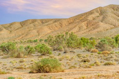 Boguty 'nin Kızıl Dağları. Gün batımının ihtişamına tanık olun. Gökyüzü turuncu ve kırmızının ateşli tonlarıyla aydınlanırken.