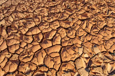 Doku, gün batımında çöl vahasının güzelliğinin tadını çıkar çarpıcı kum tepeleri arasında yürü ve onların karmaşık dokularına ve desenlerine hayran ol çöl manzarasında doğanın büyüleyici cazibesini keşfet.