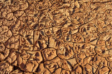 Gün batımında çöl vahasının güzelliğini hissedin. Çarpıcı kum tepeciklerinin arasında yürüyün ve karmaşık dokularına ve desenlerine hayran olun. Bir çöl manzarasında doğanın sanatının büyüleyici cazibesini keşfedin..