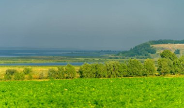 Yaz manzarası. Dünyanın Avrupa bölgesindeki bir nehir. Güneşli sıcak bir gün. Yeşil ağaçlar, çimenler. Mavi gökyüzü küçük bir bulut örtüsüyle.