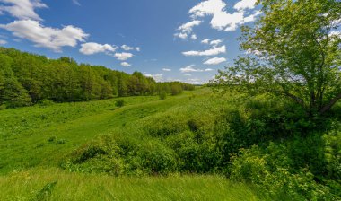 Steppe, çayır, sade, çöl. Dolunayın ışıldayan büyüsünün tadını çıkarın ve aydınlığının karanlığın içinde size rehberlik etmesine izin verin. Ay Kutsaması
