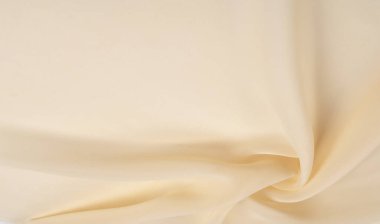 Textra arkaplan desenli bej ipek. Bazen diğerlerinin arasına karışacak bir şeye ihtiyaç duyarsınız, ve bizim özel ipek kumaşlarımız kesinlikle tüm sırayı öne çıkarır! Yeşillik tasarımları oluştur