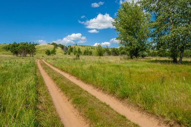 Yaz manzarası, nehir taşkınları, pitoresk kıyılar, kır çiçekli parlak yeşil çimenler, beyaz bulutlu mavi gökyüzü, ılık yaz günleri.,