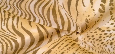 Kahverengi ve beyaz çizgili ipek kumaş, Afrika tarzı zebra derisi. Çizgili arka plan dokusu tekrarlanıyor. Tasarımcı için, tasarımın taslağı, dekoratörün çevresi.. 