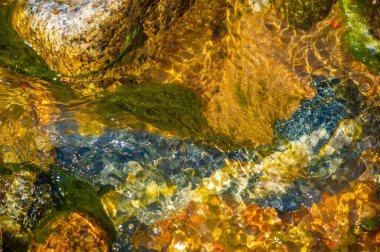 Kendinizi el değmemiş vahşi doğaya daldırın ve bir dağ deresinin güzelliğini keşfedin. Suyun büyüleyici dansını keşfet ve her taşın karmaşık detaylarını takdir et..