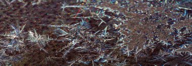 Dağınık. Boya üzerinde soğuk desenler var. Doğa işini tek bir örüntüye göre yapmaz; çeşitlilik yeteneğiyle övünür..