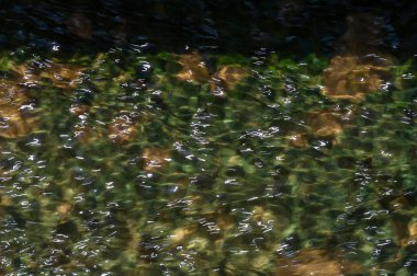 Odaklanma bulanıklaşır, suyun üzerindeki hava kabarcıklarının büyüleyici dansını hissedersin. Kendini doğanın sakin fısıltılarına daldır. Kendini bir dağ nehrinin huzurlu saadetine daldır..