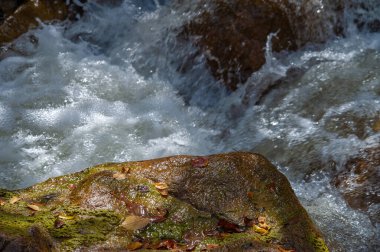 Bir dağ deresinde su. Taşları delip geçiyor. Kayalık arazide muzaffer bir şekilde çağlarken suyun muhteşem dansını keşfedin. Her dalgalanmada ruhunuzu canlandırın..