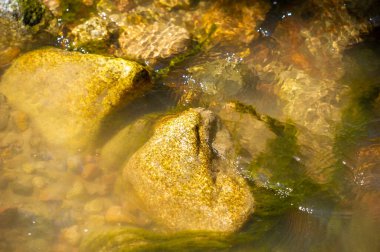Kendinizi bir dağ deresinin dokunulmamış doğasına daldırın. Su ve taşların büyüleyici dansını keşfedin. Karmaşık detaylar ve parıldayan ışıkla doğanın güzelliğini takdir et..