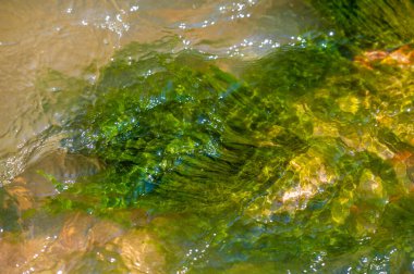 Kendini bir dağ deresinin huzurlu güzelliğine daldır. Muhteşem manzaranın ve doğal harikaların tadını çıkar. Doğa Ana 'nın yaratılışında ilham ve sükunet bul..