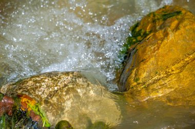 Kendinizi bir dağ deresinin dinginliğine daldırın. Doğanın senfonisinin huzurlu güzelliğini tecrübe edin. Suyun rahatlatıcı seslerini dinleyerek huzur ve sükunet bul..