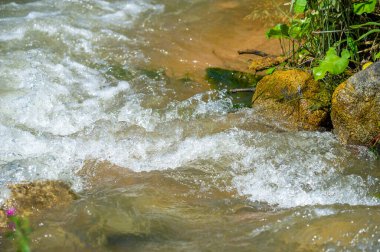 Hareket halindeki Zen 'i keşfedin: Suyun pürüzsüz kayaların üzerinde dans ettiği, iç huzuru aşıladığı bu ışıltılı dağ akışının rahatlatıcı ritminde kendinizi kaybedin. Akan Enerji