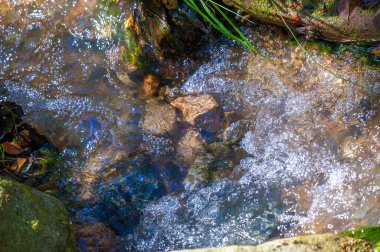 Bu büyüleyici dağ deresinde doğanın nefes kesici güzelliğini deneyimleyin. Toprak ve su arasındaki mükemmel uyuma tanık olun. Kendini taşların yarattığı senfoniye ver.