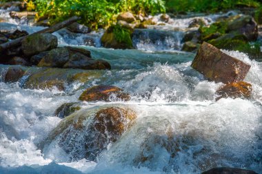 Kendinizi doğanın senfonisinin güzelliğine ve sükunetine bırakın. Kayaların üzerinden akan bir dağ deresinin rahatlatıcı seslerini hisset. Bırak duyuların yemyeşil manzarayla büyülensin..