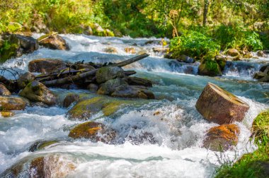 Resmedilmeye değer bir dağ deresinde tam bir sükunet... akan suyun rahatlatıcı sesi... gürültüden kaçmak için sakin bir atmosfer yaratır... ve kendinizi huzurun içine daldırır.