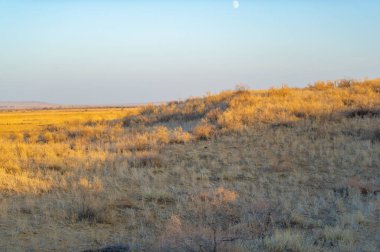 Sonbahar. Steppe. Gün batımı. Güneş zarif bir şekilde batarken kendinizi çölün dingin güzelliğine daldırın, sonsuz kumulları yakıcı bir paletle aydınlatın. Bu anın sessizliğine izin ver.