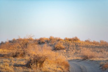 Sonbahar bozkırlarındaki günbatımının büyüleyici güzelliğini hisset. Kum tepeciklerinin sıcak renklerde büyüleyici mobilyalarda nasıl canlandığına bakın. Kendini doğaüstü bir ışıltıya batır,