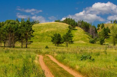 Yaz manzarası, nehir taşkınları, pitoresk kıyılar, kır çiçekli parlak yeşil çimenler, beyaz bulutlu mavi gökyüzü, ılık yaz günleri.,