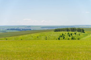 Yaz manzarası, biçilmiş tarlalar biçilmiş tarlalar, biçilmiş yoncalar.
