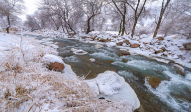 Nehir kışın donar. Yerel nehrimizle geçen kışın en sevdiğim kısmı sislerin süzülüp etraftaki ormanı kaplaması. Yumuşak, gizemli ama huzur verici bir yer yaratıyor..